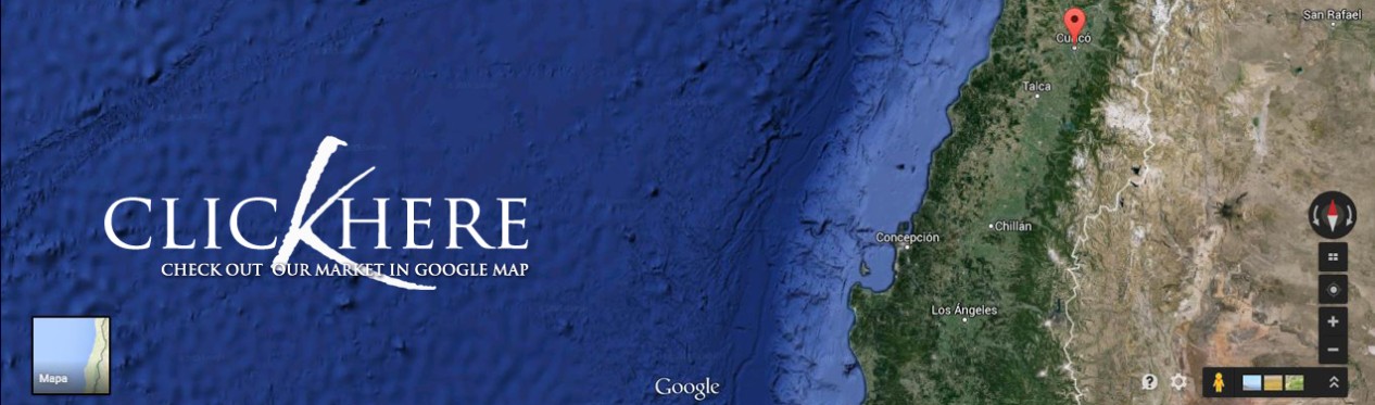 Our partners are distributed around the world, especially in Asia, East Asia, South America , USA and Europe