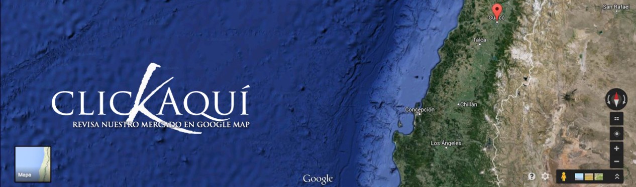 Nuestros socios comerciales se encuentran distribuidos en distintos lugares del planeta, especialmente, en Asia, oriente Asiático, Sudamérica, USA y Europa